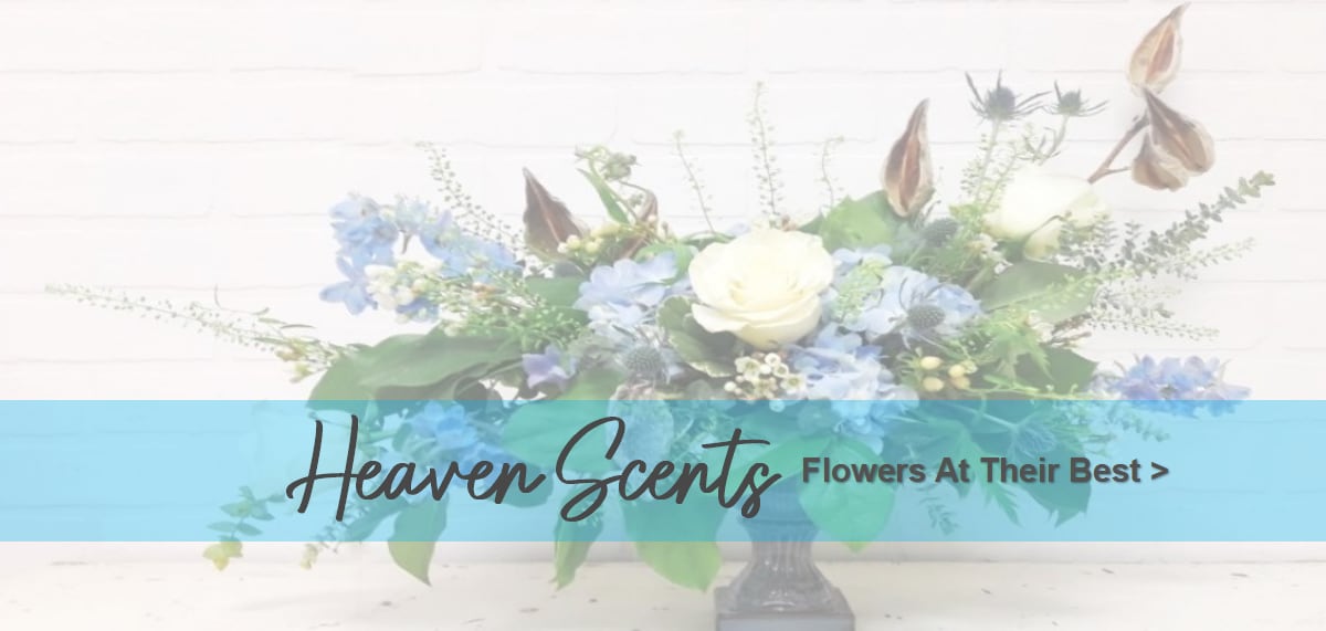 Heaven Scents - Every Day Flowers